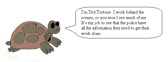 Ted Tortoise