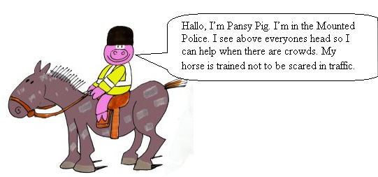 Pansy Pig